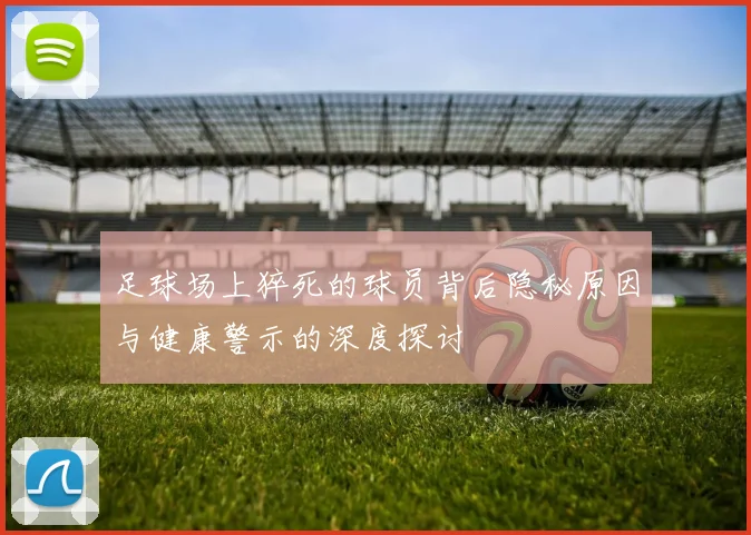 足球场上猝死的球员背后隐秘原因与健康警示的深度探讨