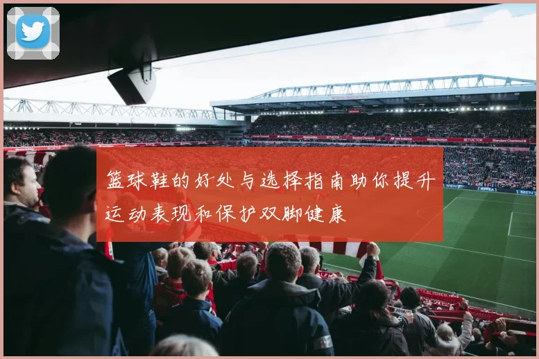 篮球鞋的好处与选择指南助你提升运动表现和保护双脚健康