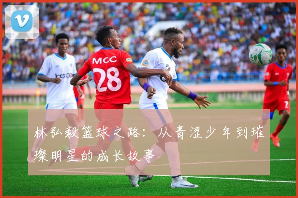 林弘毅篮球之路：从青涩少年到璀璨明星的成长故事