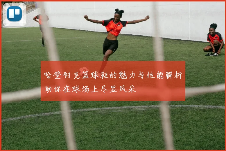 哈登耐克篮球鞋的魅力与性能解析助你在球场上尽显风采