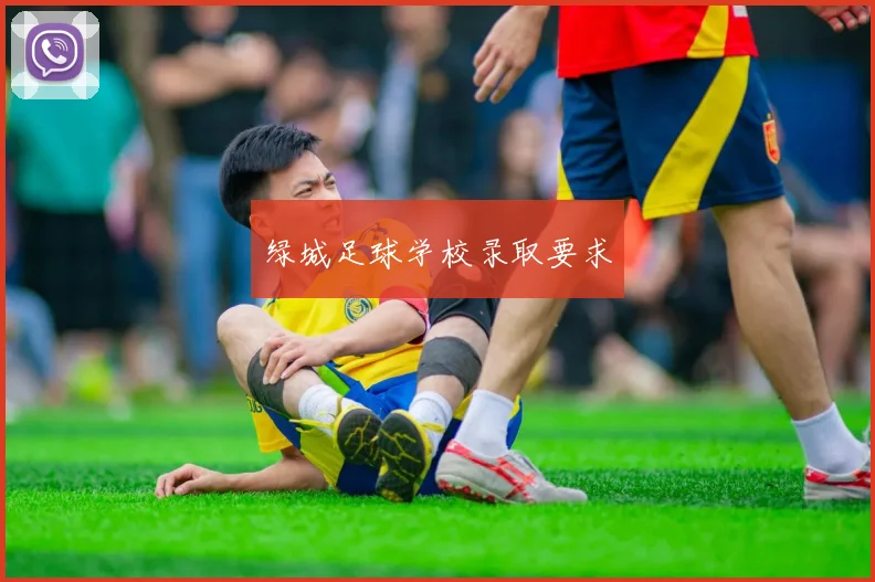 绿城足球学校录取要求