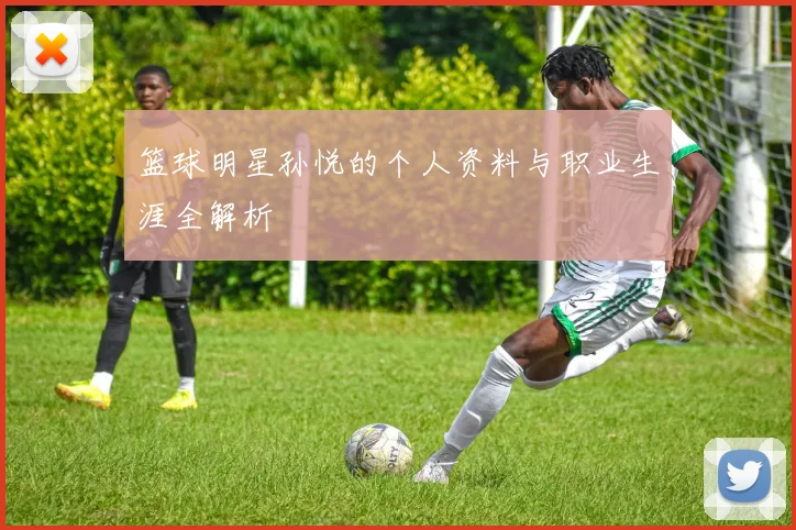 篮球明星孙悦的个人资料与职业生涯全解析