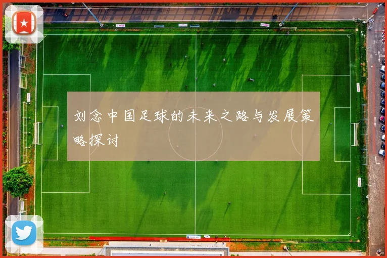 刘念中国足球的未来之路与发展策略探讨