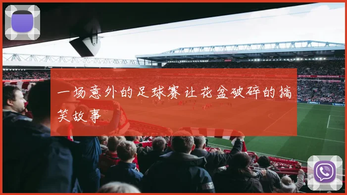 一场意外的足球赛让花盆破碎的搞笑故事