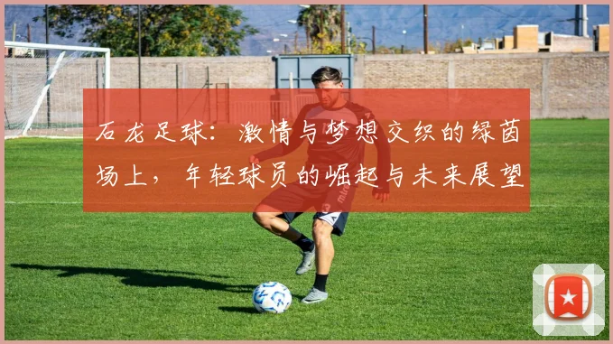 石龙足球：激情与梦想交织的绿茵场上，年轻球员的崛起与未来展望