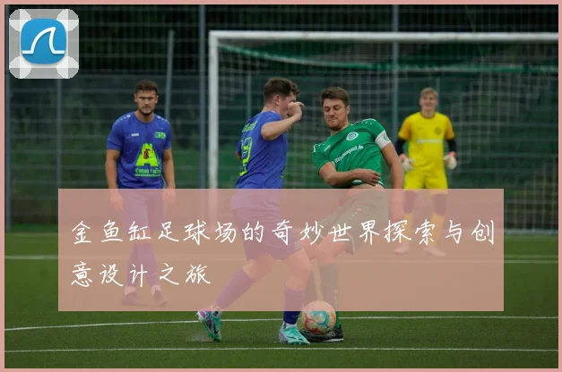 金鱼缸足球场的奇妙世界探索与创意设计之旅