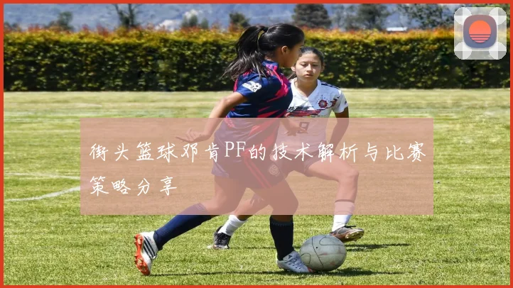 街头篮球邓肯PF的技术解析与比赛策略分享