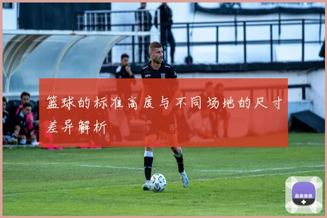 篮球的标准高度与不同场地的尺寸差异解析
